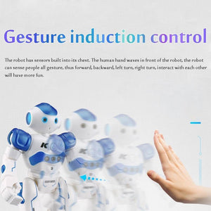 Humanoid Robot Toy for Kids