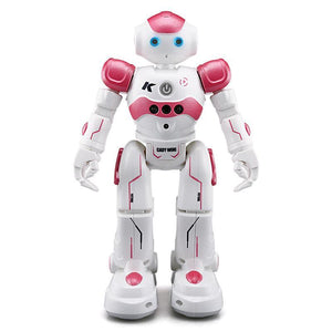 Humanoid Robot Toy for Kids
