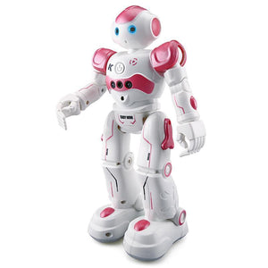 Humanoid Robot Toy for Kids