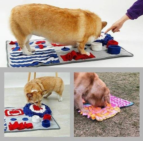 Interactive Pet Snuffle Mat and Feeding Trainer