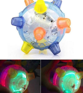 Jumping Glowing Pet Ball