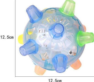 Jumping Glowing Pet Ball