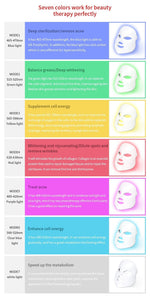 LED Spa Facial Mask