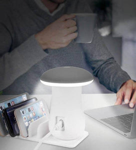 Multi-Port Fast Charging Dock & Lamp