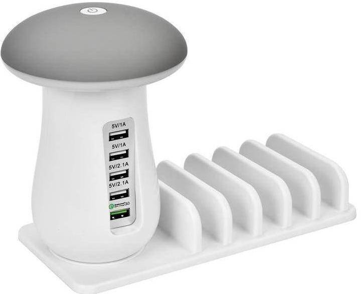Multi-Port Fast Charging Dock & Lamp