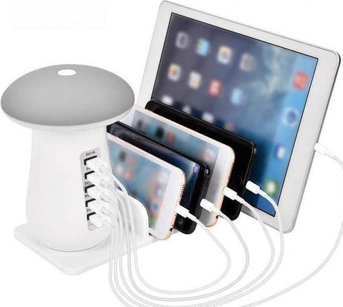 Multi-Port Fast Charging Dock & Lamp