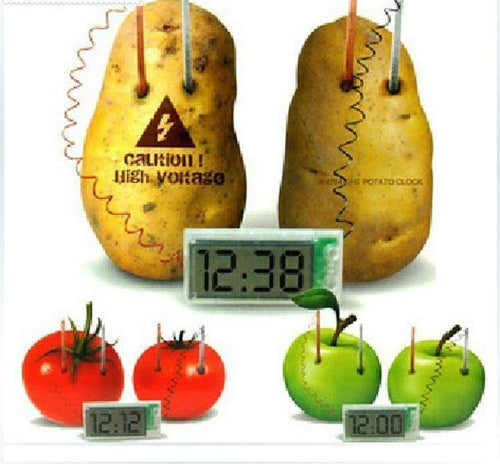 Novelty Potato Clock Electrochemical Cell Experiment