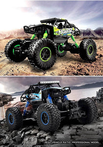 Off Road RC Car