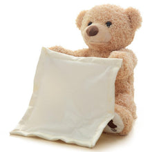 Load image into Gallery viewer, Peek a Boo Teddy Bear
