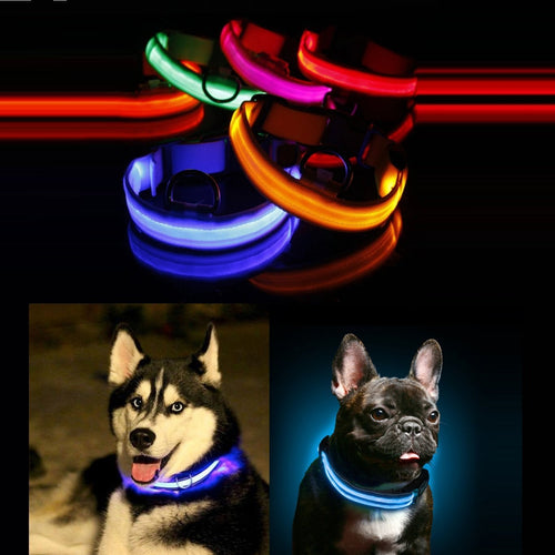 Pet Cat Dog Glow LED Collar