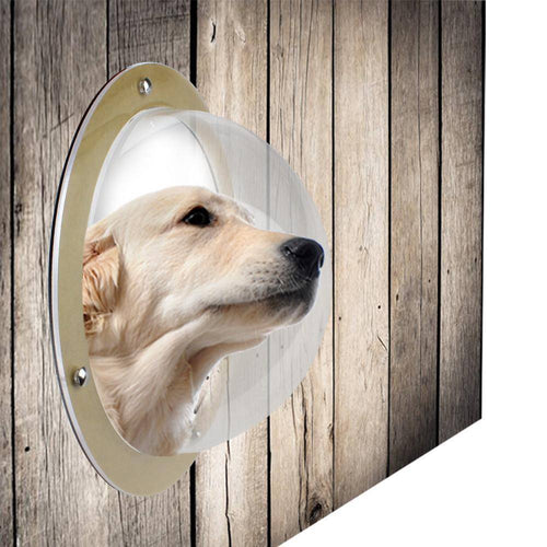 Pet Window Fence