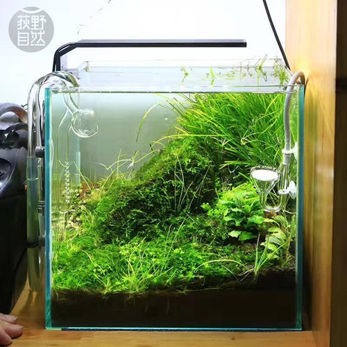 Plant Grow LED Light