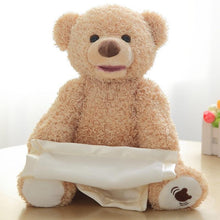 Load image into Gallery viewer, Peek a Boo Teddy Bear