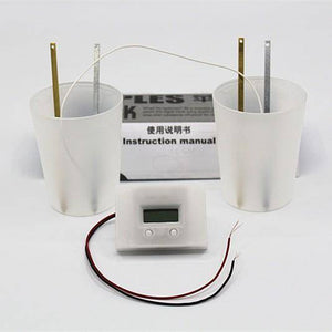 Novelty Potato Clock Electrochemical Cell Experiment