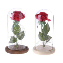 Load image into Gallery viewer, Enchanted Rose Flower Lamp