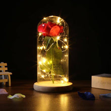 Load image into Gallery viewer, Enchanted Rose Flower Lamp