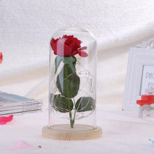 Load image into Gallery viewer, Enchanted Rose Flower Lamp