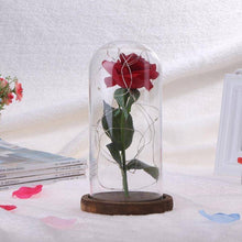 Load image into Gallery viewer, Enchanted Rose Flower Lamp