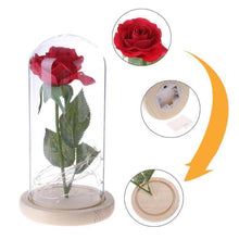 Load image into Gallery viewer, Enchanted Rose Flower Lamp