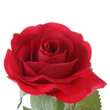 Load image into Gallery viewer, Enchanted Rose Flower Lamp