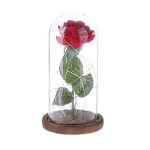 Load image into Gallery viewer, Enchanted Rose Flower Lamp