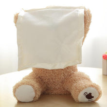 Load image into Gallery viewer, Peek a Boo Teddy Bear