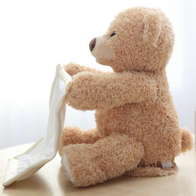 Load image into Gallery viewer, Peek a Boo Teddy Bear