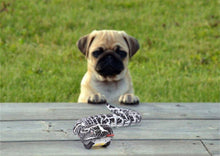 Load image into Gallery viewer, RC Remote Control Rattlesnake